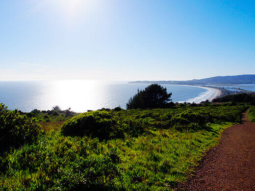 Panoramic views on the Dipsea Trail