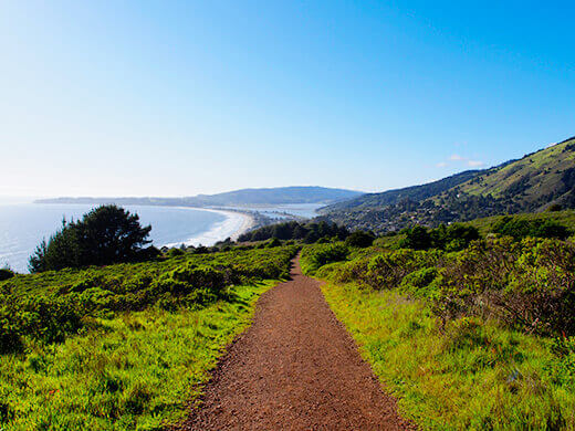 Dipsea Trail