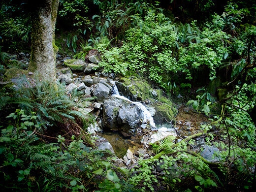 Creeks and cascades