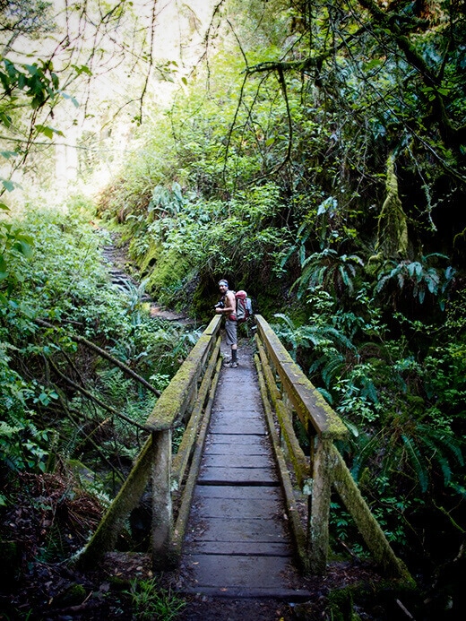 Wooden footbridge