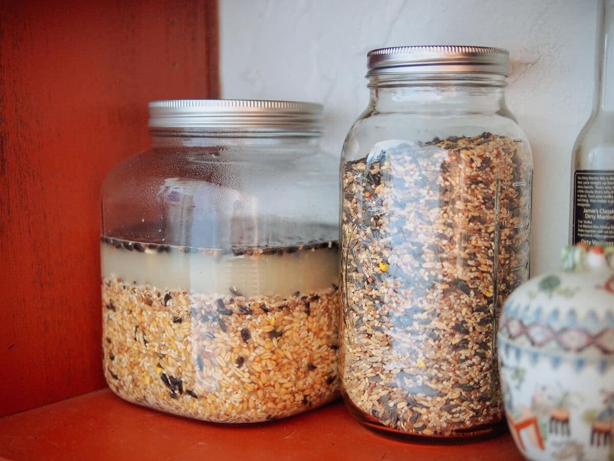 Wet grains and dry grains