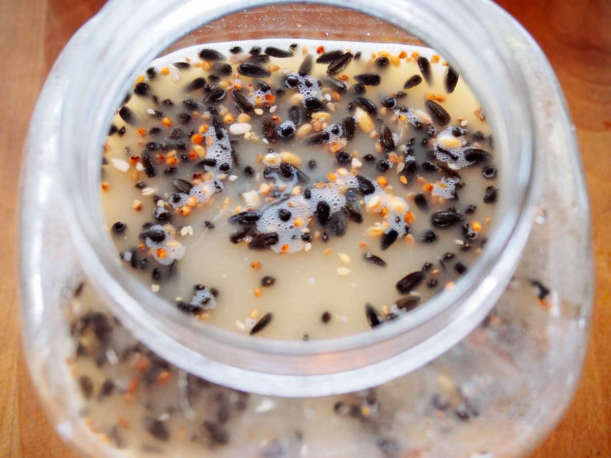 Fermented chicken feed
