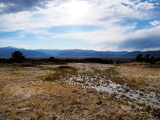 Clay and mud field at Travertine Hot Springs