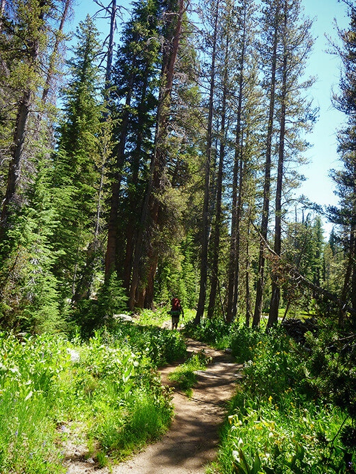 Hiking to Cloud's Rest from the east