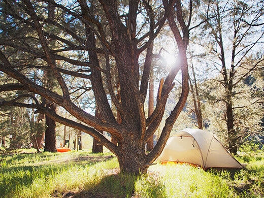 Campsite on the Carson River