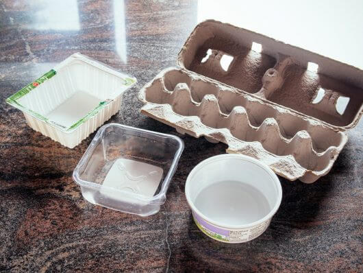 Makeshift seed starting containers