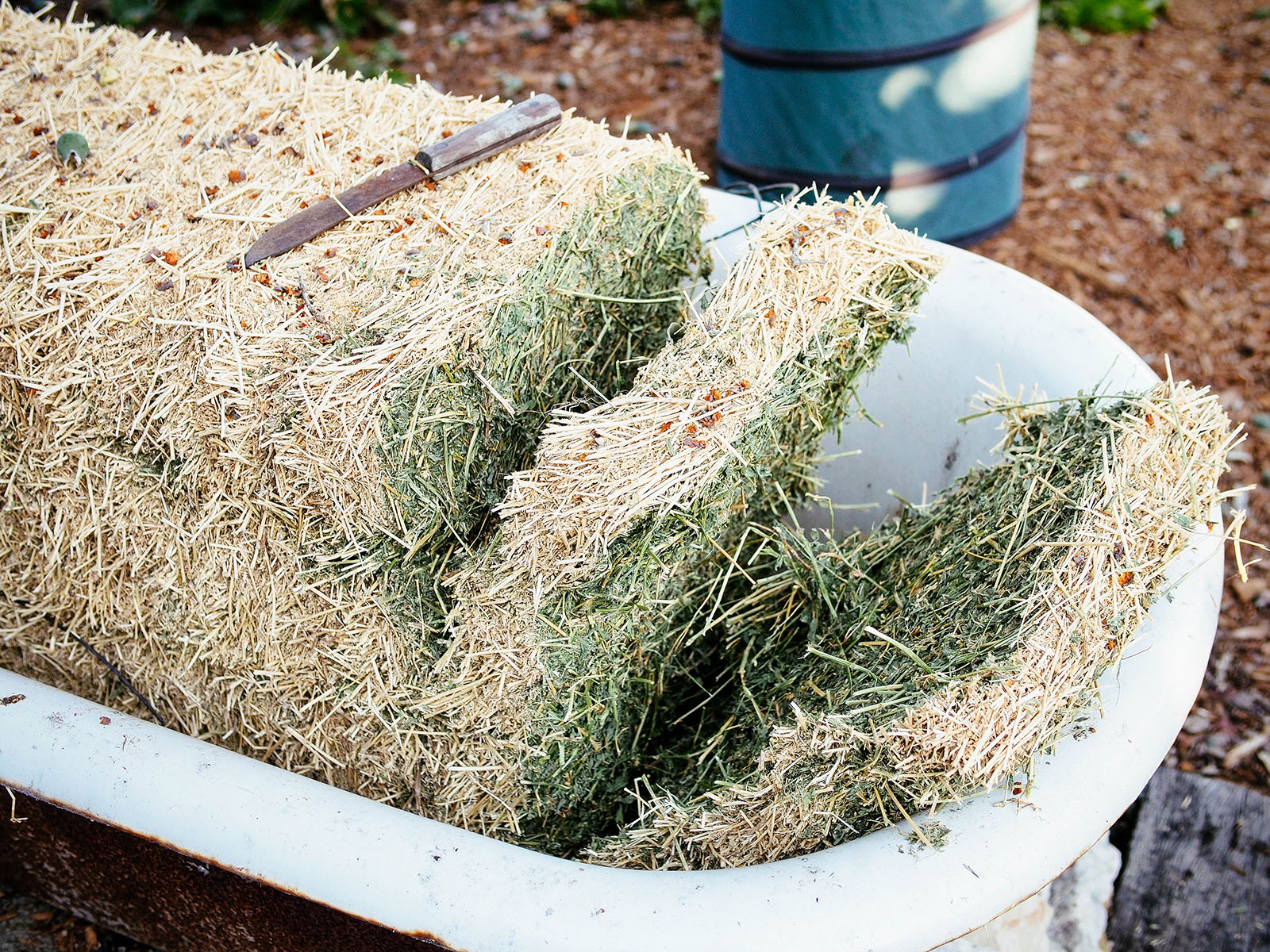 Bale of alfalfa (lucerne hay)