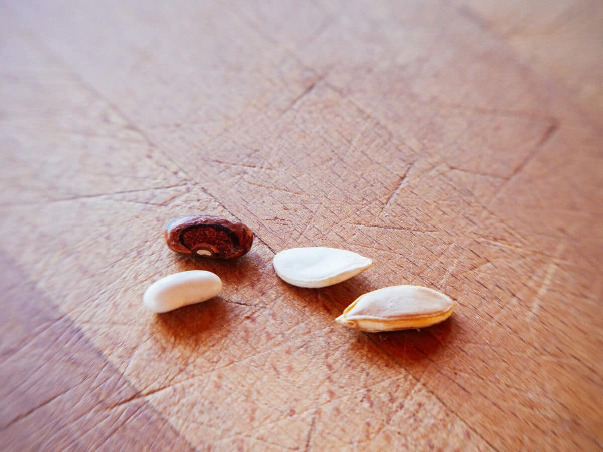 Bean and squash seeds
