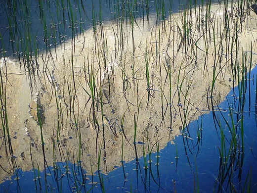 Reflection on Chickenfoot Lake