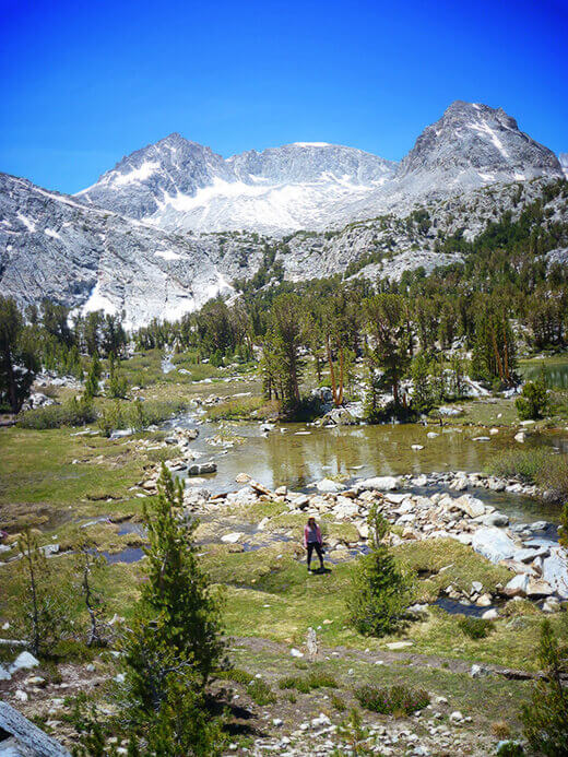 Alpine meadow in the Sierra backcountry