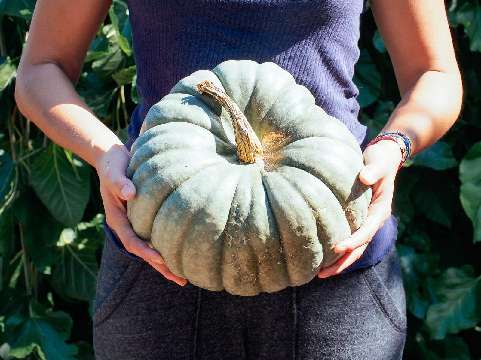 Handle your winter squash gently
