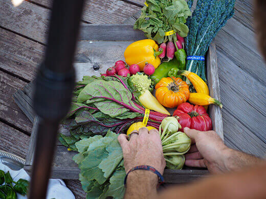 Every piece of produce is meticulously placed