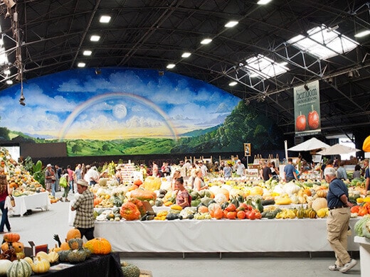 Food exhibits