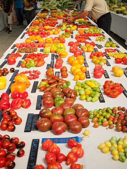 Tomatoes