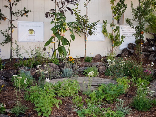 Demonstration gardens