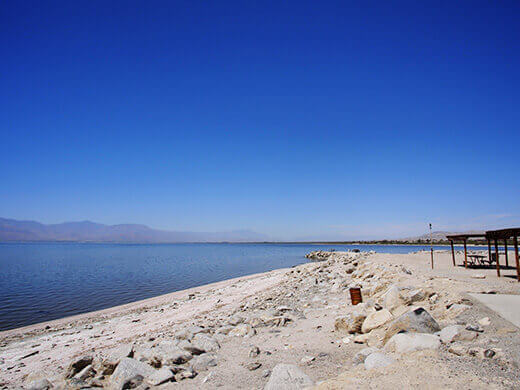 Salton Sea shoreline