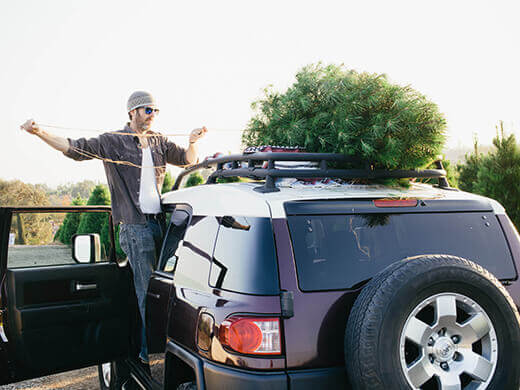 Securing our Christmas tree to the car
