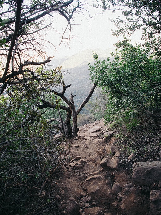 Trail to Mount Lee
