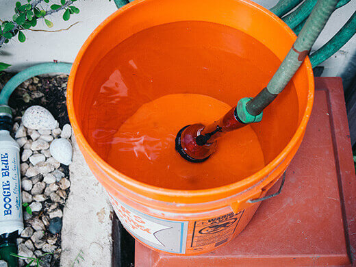 Fill a clean bucket with dechlorinated water