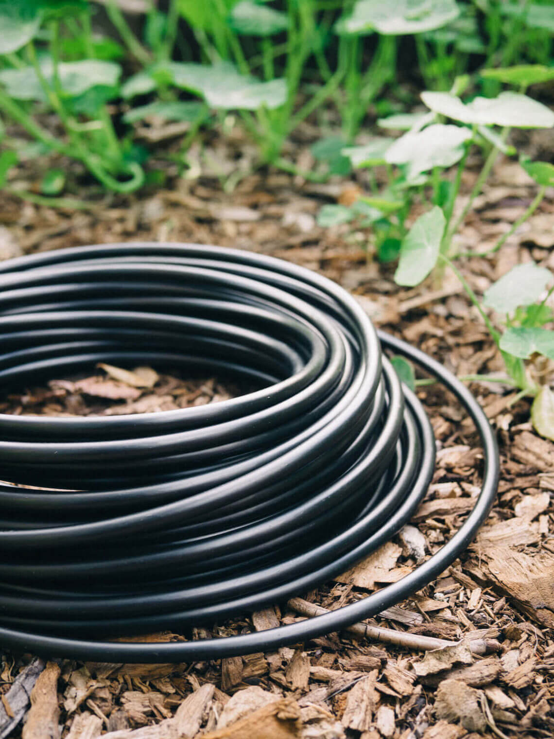 Drip irrigation: watering your garden while saving your resources