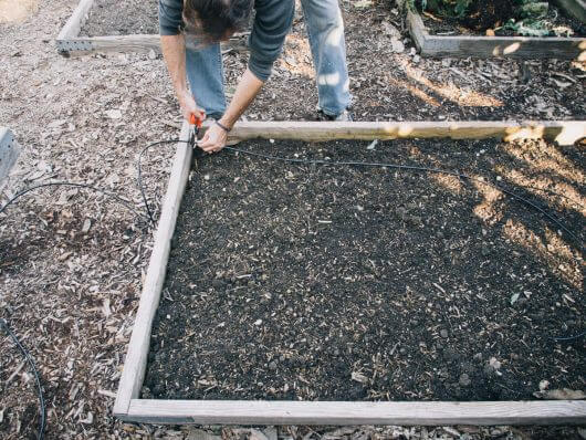 Cut driplines to length