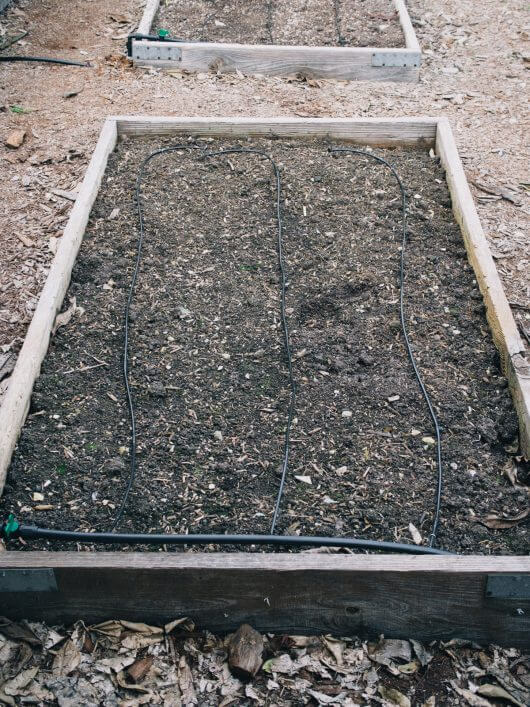 Soaker driplines in garden bed
