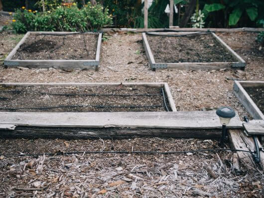 Drip irrigation in a raised bed garden