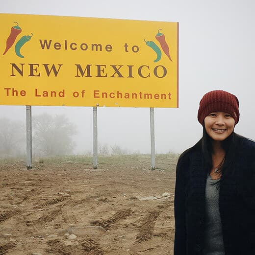 New Mexico stateline