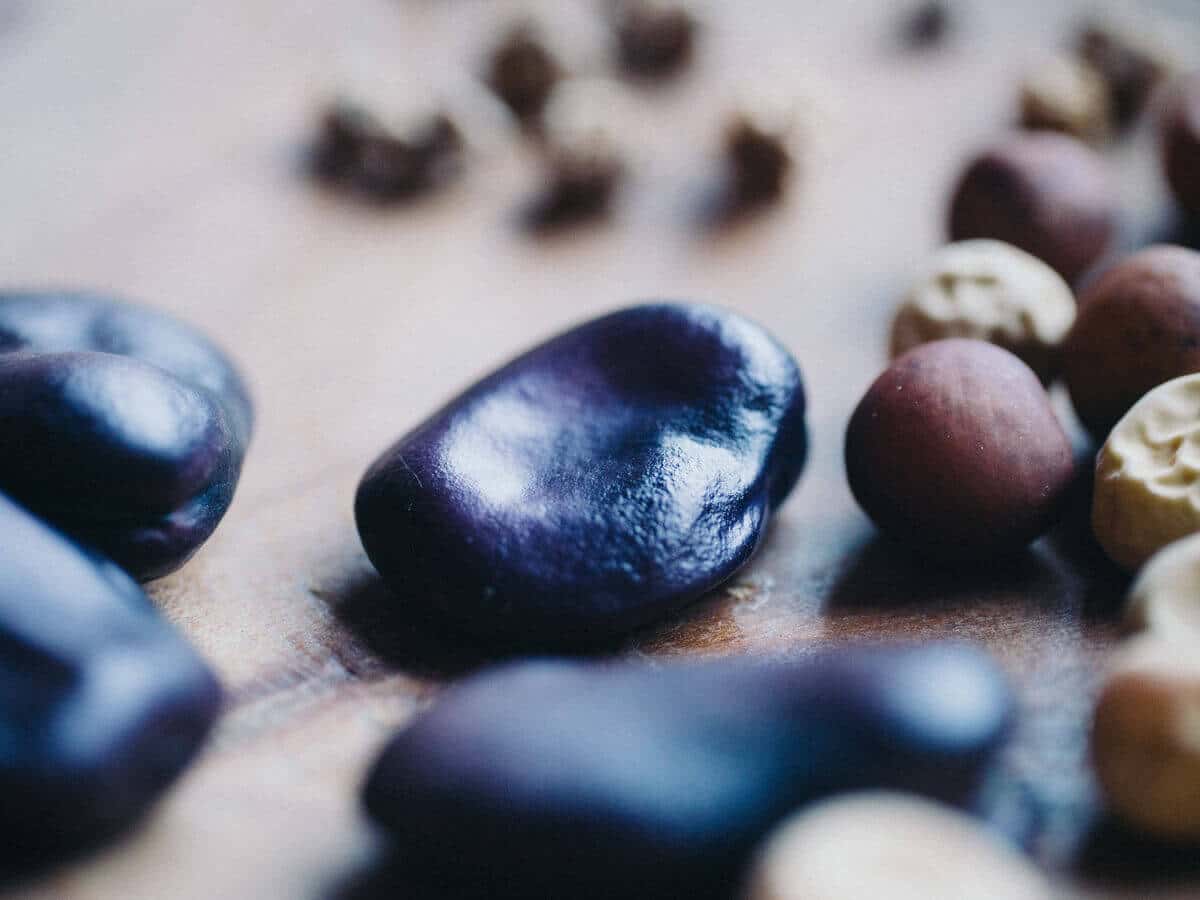 Fava bean seeds