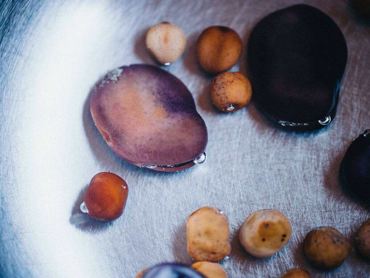 Presoaking legume seeds