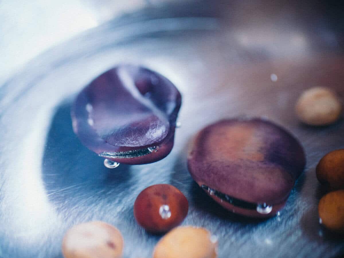Floating fava bean seed