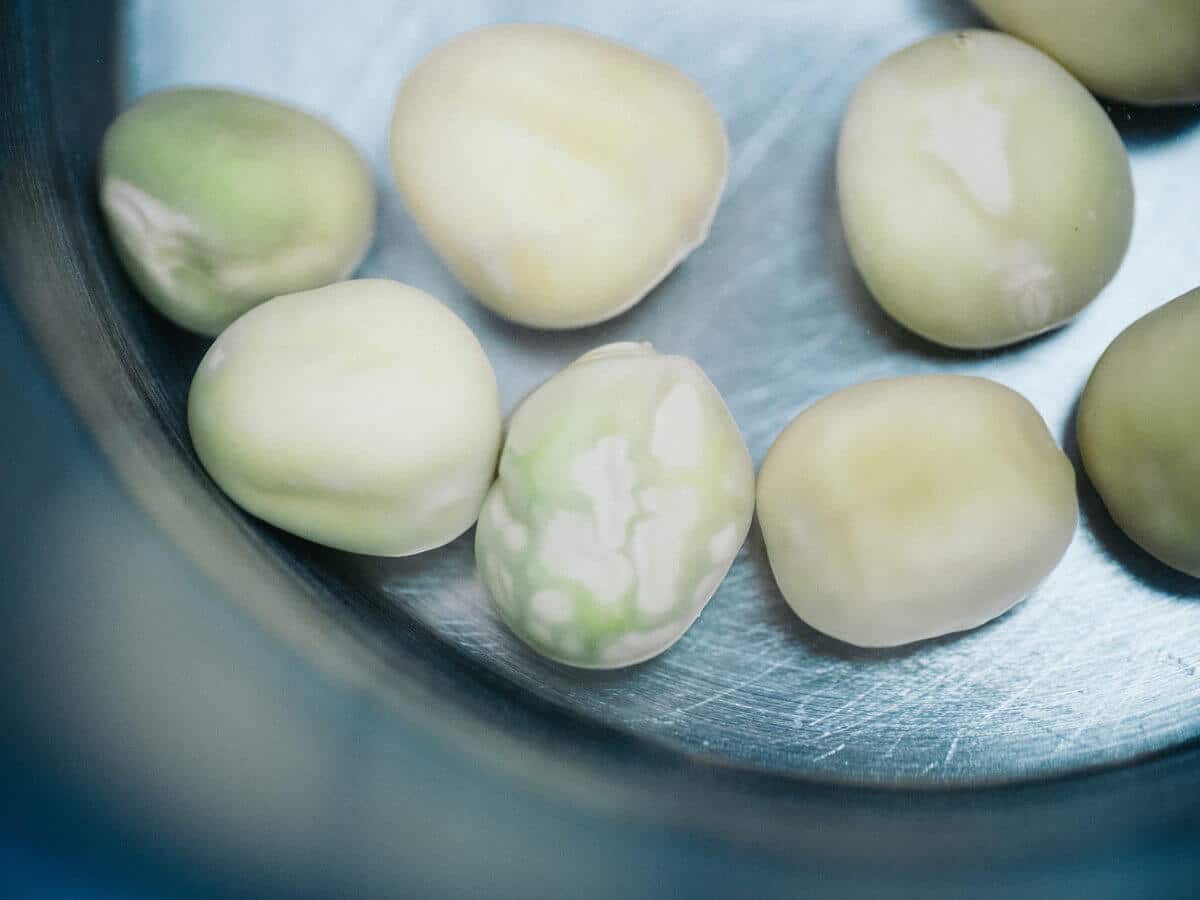 Swollen pea seeds ready to be sowed