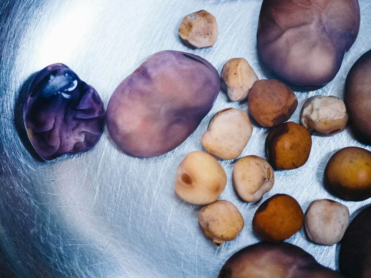 Presoaked seeds