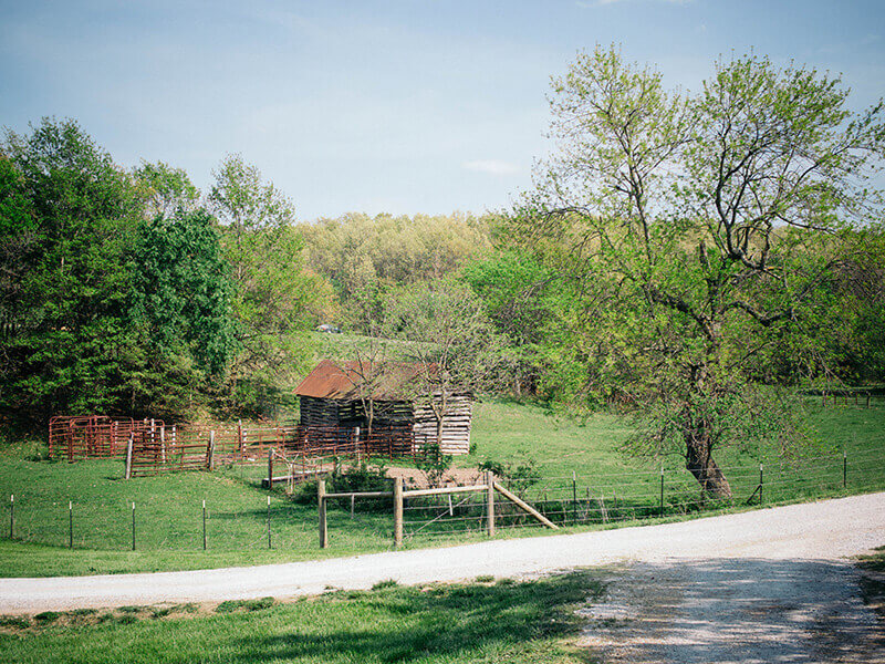 Baker Creek farm in the Ozark hills