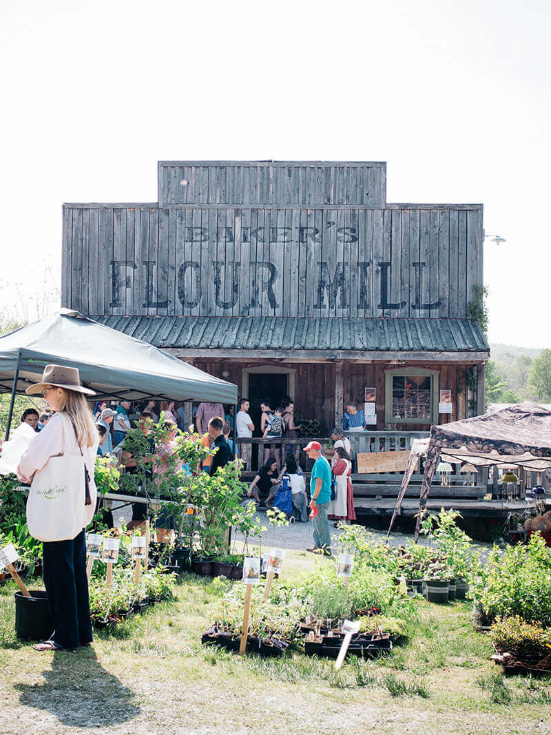 Natural bakery in the village