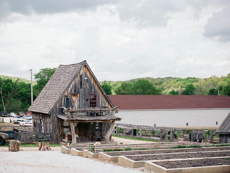 Old-time cabin and raised beds