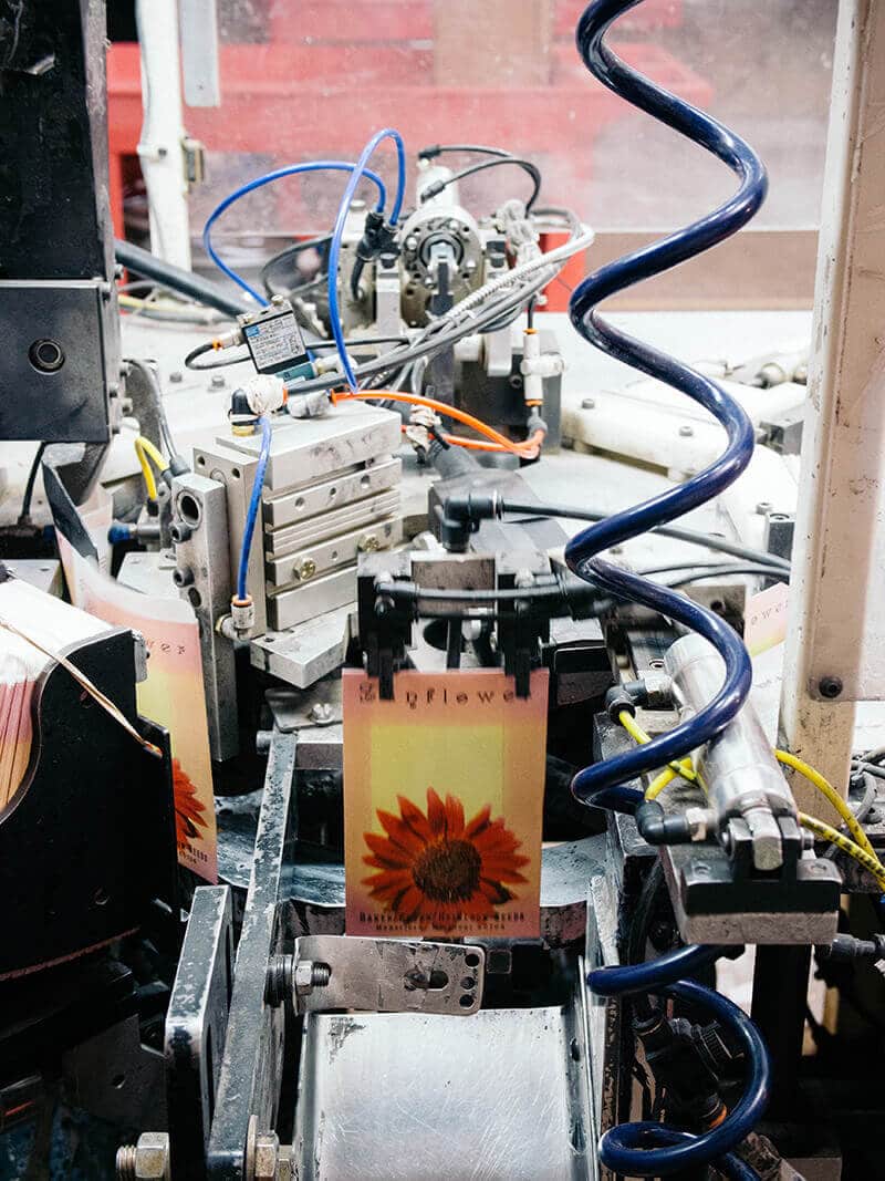 Seed-packing machine