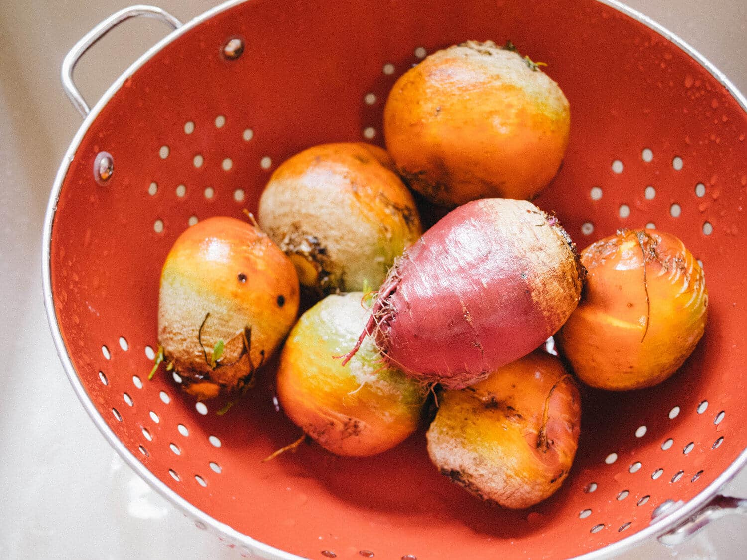 Freshly scrubbed homegrown beets