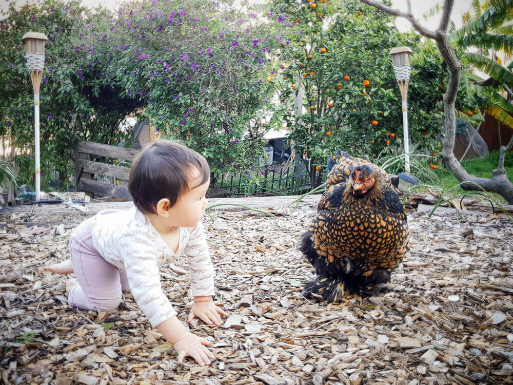 My lovely girls in the garden