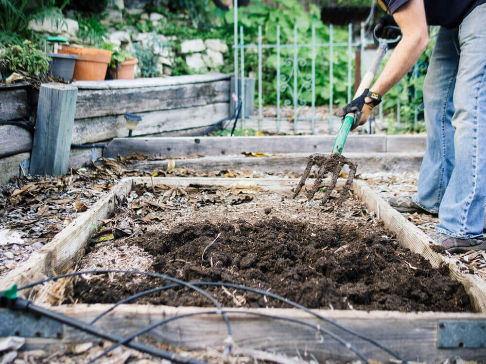 Rejuvenate garden beds with compost and other amendments