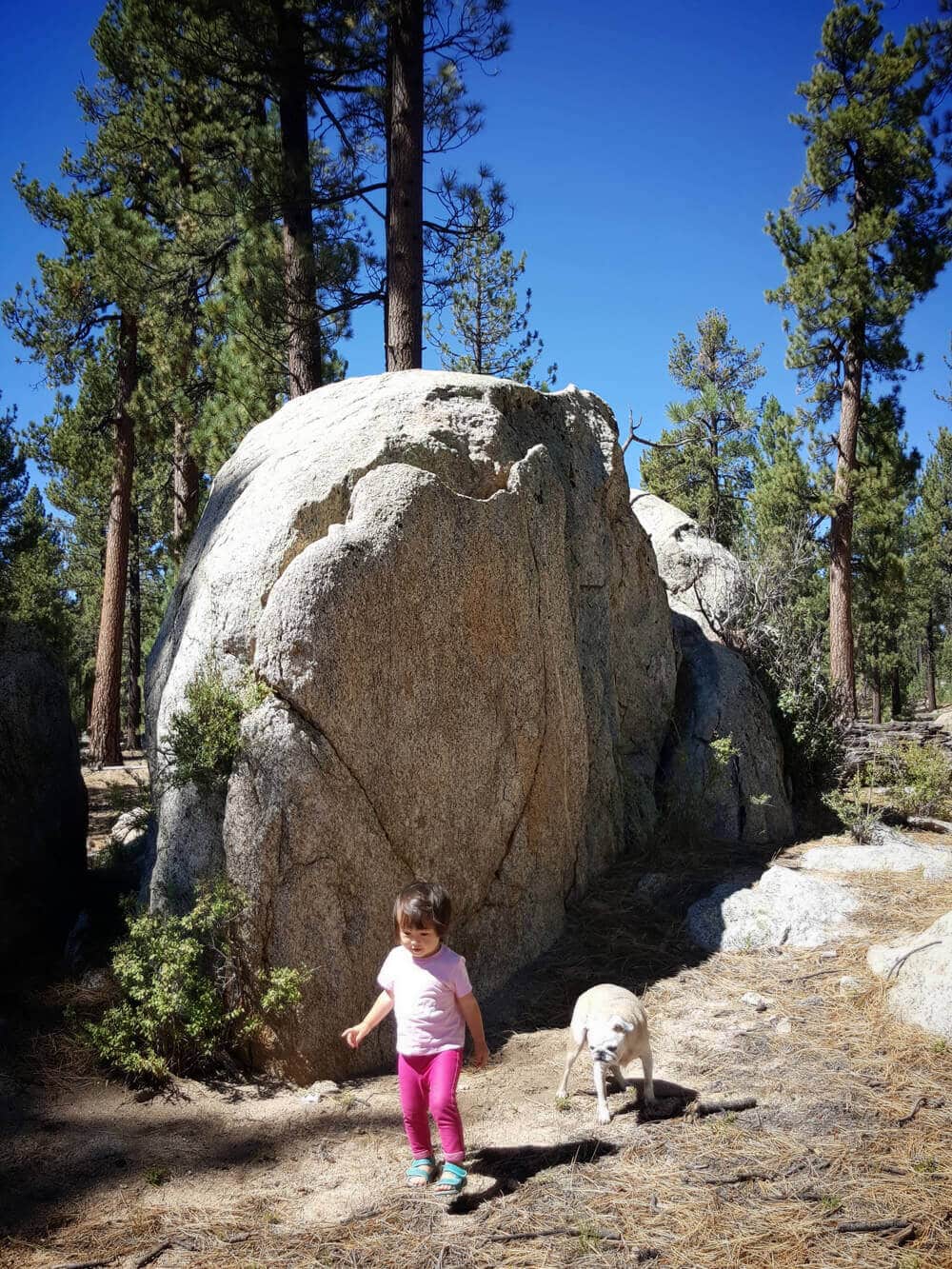 Hiking through pine forests and granite boulders