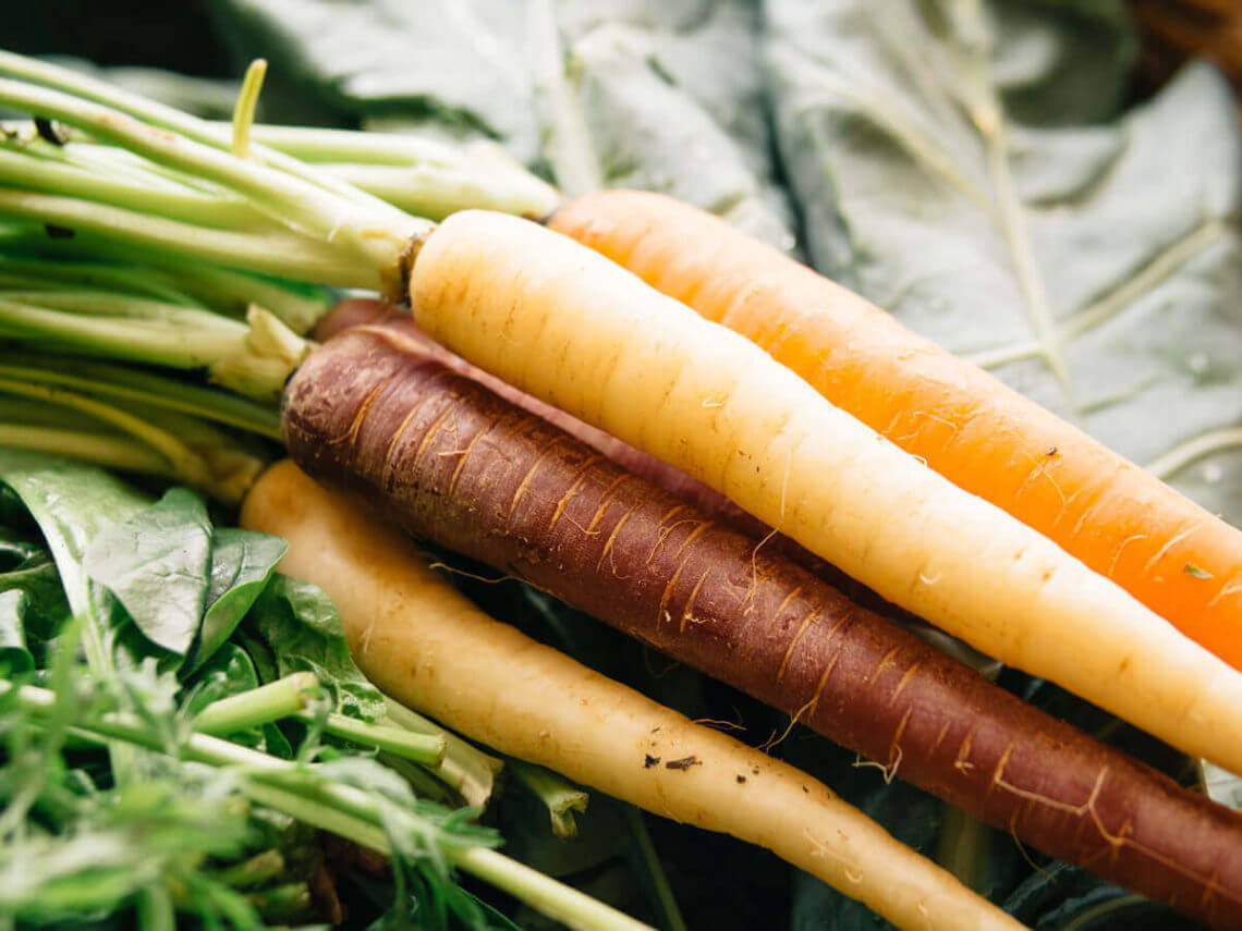 Surprise, carrots don't actually improve eyesight