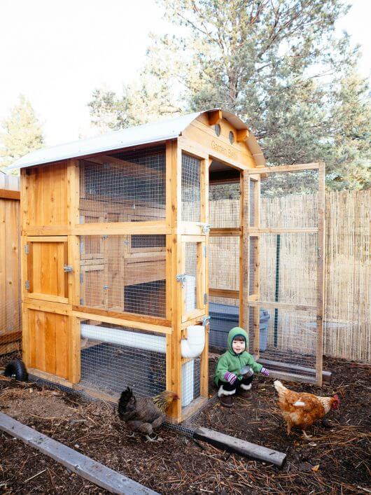 Tour my new chicken coop in Oregon