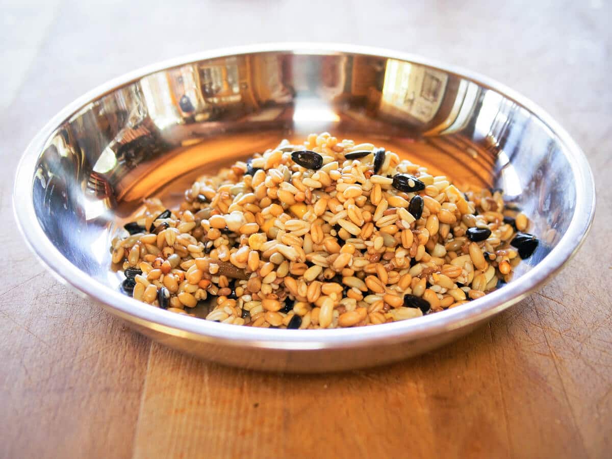Ferment your chicken feed to improve the bioavailability of vitamins and nutrients