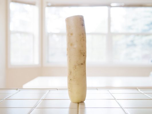 Daikon radish