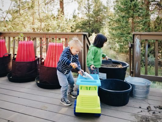 Planting a new container garden