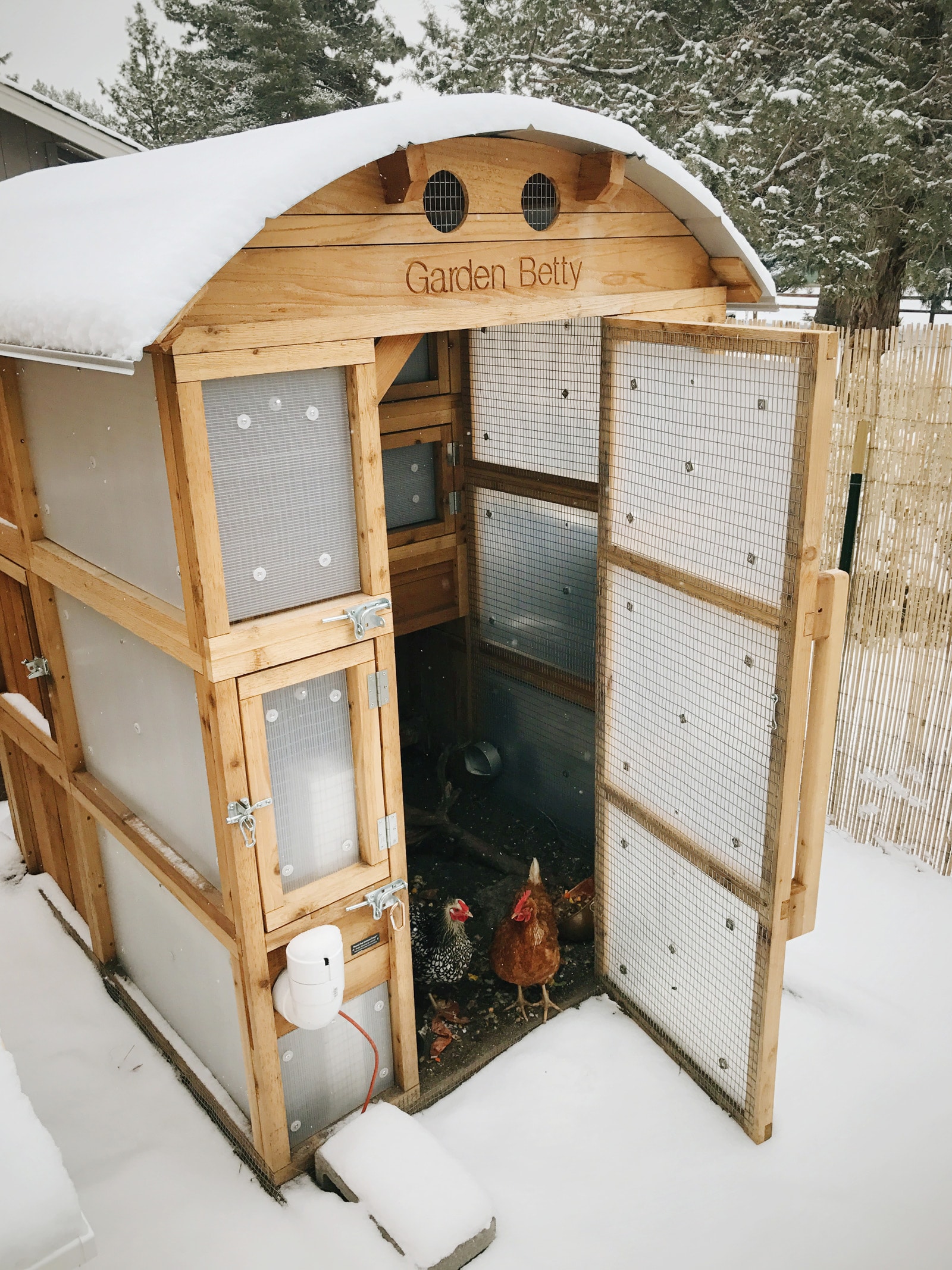 Chicken coop in winter