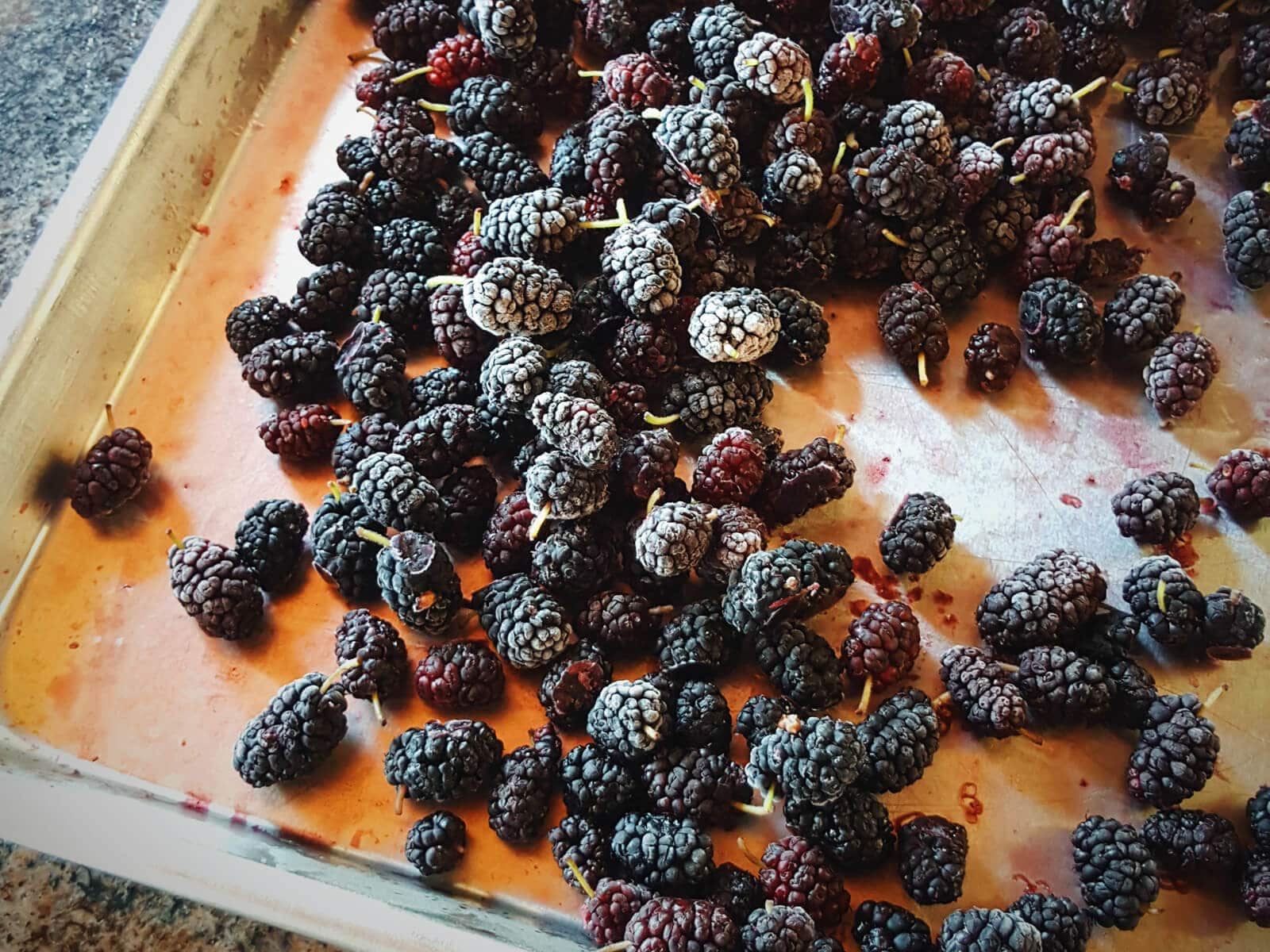 Frozen fruits make excellent jams and preserves