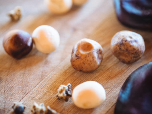 Seeds for spring planting