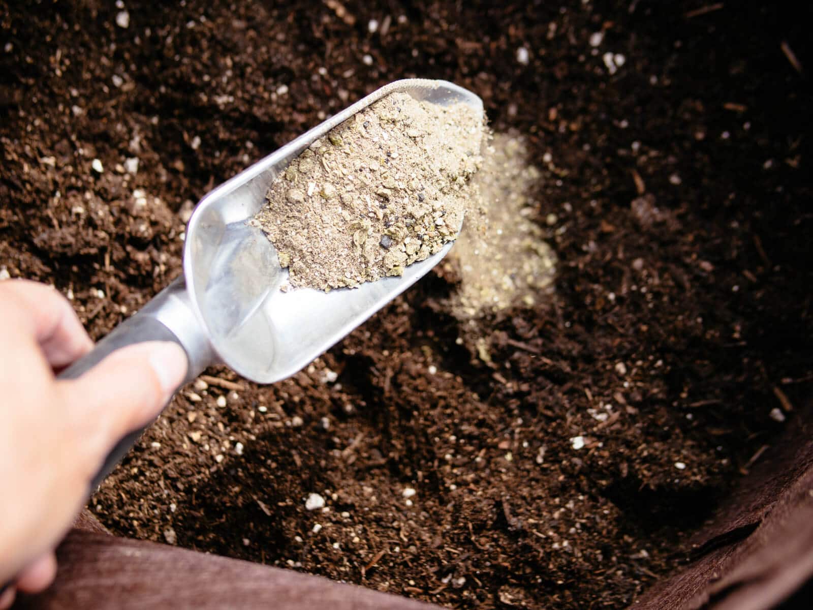 Add a diverse mix of amendments to your tomato planting hole